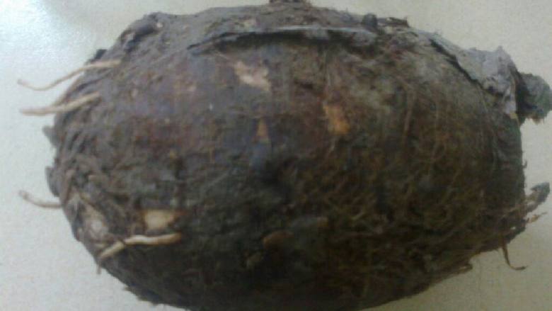 广西桂林恭城特色小吃-柚子叶粑,<a style='color:red;display:inline-block;' href='/shicai/ 32'>芋头</a>一个