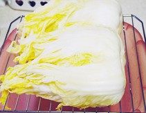 韩国泡菜,撕一片叶子尝一下咸度是否合适自己的口味,合适后即可停止投洗,再次挤干水份并控掉表面的水