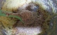 榛子奶油水果塔,加入榛子粉,拌匀