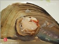 菜脯粉丝蒸带子,带子撬开,将小刀将带子肉取下,去除内脏等杂物,洗净。