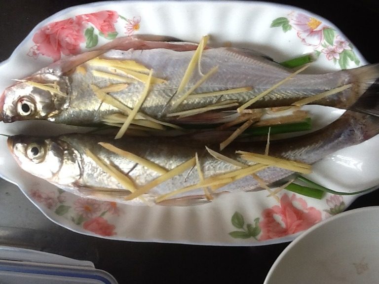 清蒸白水