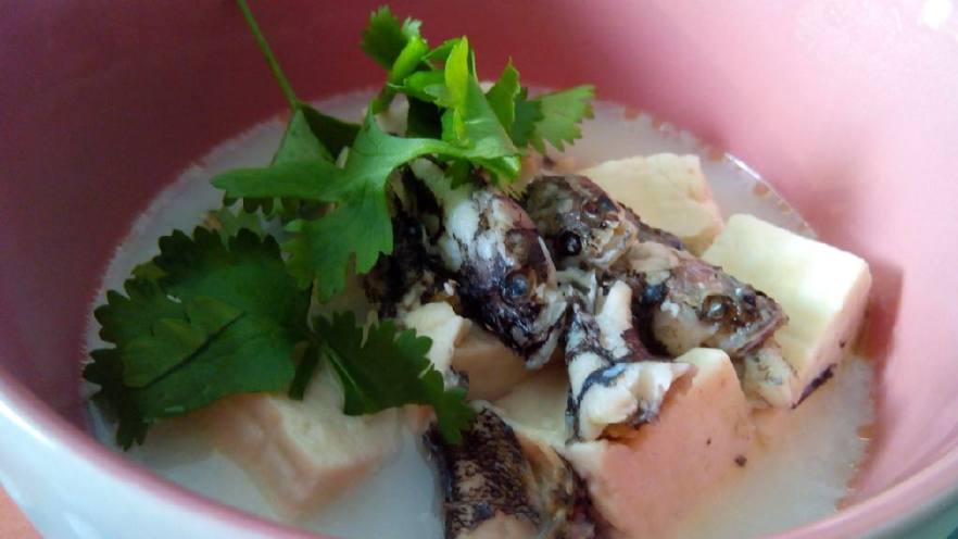 牛奶豆腐笋壳鱼汤