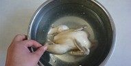 香辣口水鸡,把鸡捞出,马上投入冰水里。浸泡五分钟