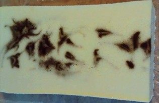 咖啡芝士蛋糕,烤好后,取出晾凉脱模,放入冰箱冷藏4小时以上,取出切块,即可享用了