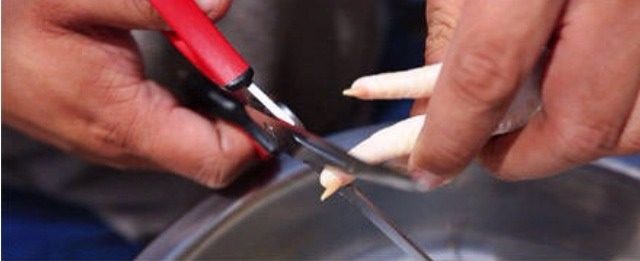 天生吃货秘制凤爪,剪指甲:鸡爪子的指甲里有残留的细菌,是洗不掉的,而且吃起来会影响整体口感,所以需要提前剪掉。这是个极其需要耐心的活儿,也是制作这道菜面临的第一个费时费力的环节。