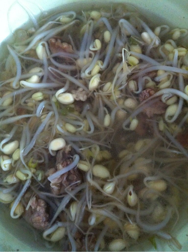 豆芽瘦肉汤