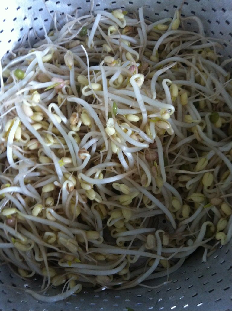 豆芽瘦肉汤,<a style='color:red;display:inline-block;' href='/shicai/ 120'>豆芽</a>洗净