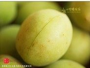 青梅汁,将风干没有水分的青梅,用小刀去蒂,并在果子上划一刀