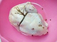 西安葫芦鸡,将鸡的腰部用麻绳扎紧