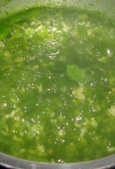 菠菜汁绿茶虾仁泡饭 ,菠菜汁加盐、<a style='color:red;display:inline-block;' href='/shicai/ 756'>鸡精</a>煮开，放入炸过的米饭粒煮几分钟