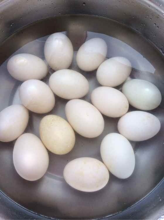 油黄咸鸭蛋,把鸭蛋用清水洗净