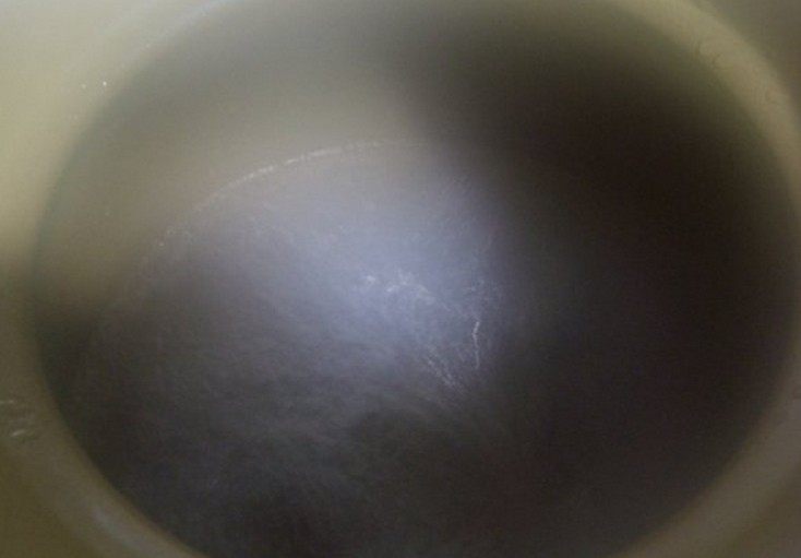枇杷瘦肉汤,汤锅注入清水煮沸。