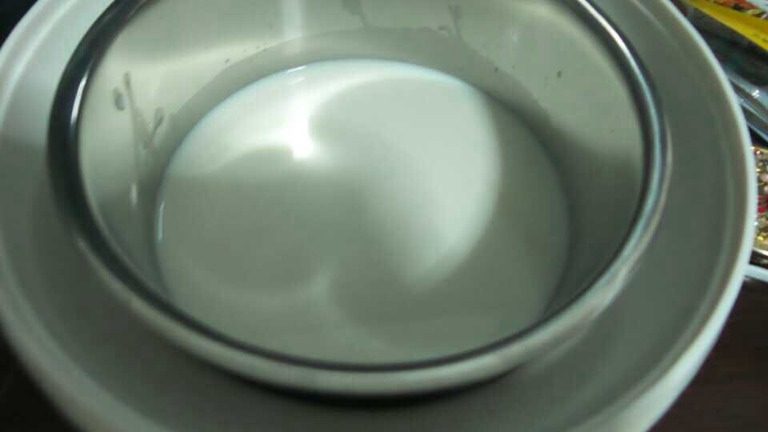 王氏-自制芒果酸奶(草莓酱酸奶),把牛奶放入用热水烫过的酸奶机容器里