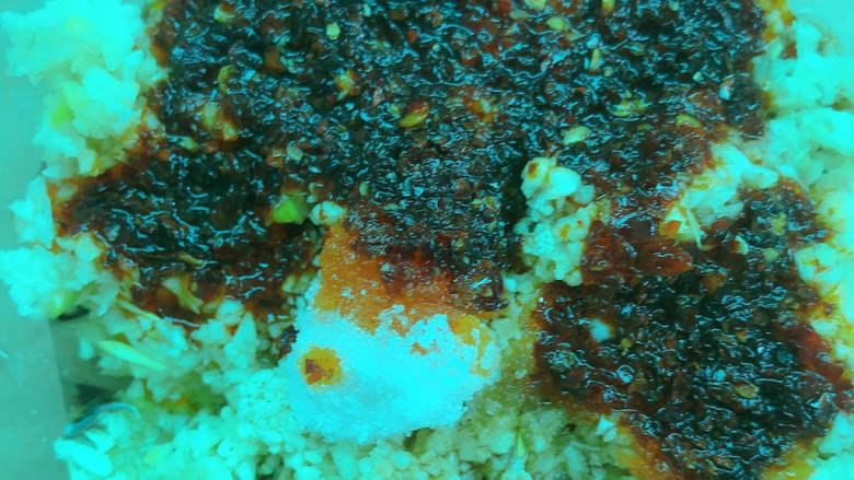 #闹元宵#蒜泥白肉,加入辣椒油