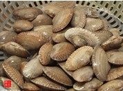 爆炒花蛤,花蛤滴几滴油让花蛤把泥沙吐干净,洗净,沥干水分