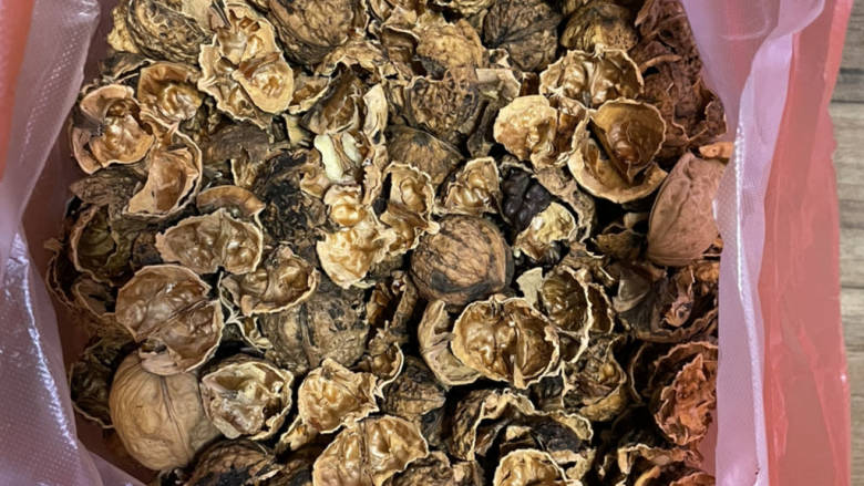 核桃壳煮水,核桃壳