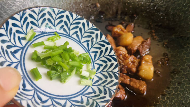 红烧猪肥肉,撒上葱花
