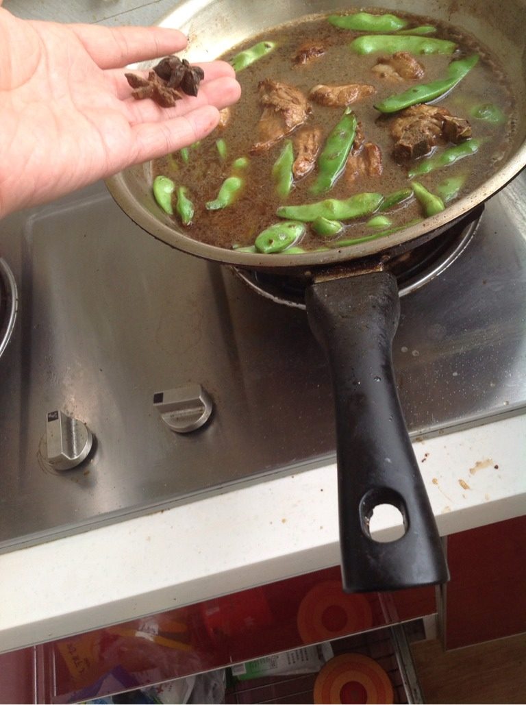 排骨炖豆角,如图放入<a style='color:red;display:inline-block;' href='/shicai/ 695'>八角</a>，炖！