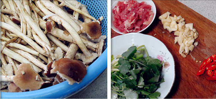 鲜辣小炒茶树菇,<a style='color:red;display:inline-block;' href='/shicai/ 266'>茶树菇</a>洗净去蒂，猪肉切丝、蒜瓣拍碎、小红椒切成段