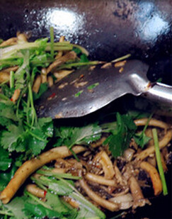鲜辣小炒茶树菇,再加些<a style='color:red;display:inline-block;' href='/shicai/ 788'>生抽</a>、盐、<a style='color:red;display:inline-block;' href='/shicai/ 134333'>黑胡椒</a>调味，中小火盖锅盖焖会儿，直至茶树菇变软，关火后加入切碎的<a style='color:red;display:inline-block;' href='/shicai/ 131'>香菜</a>