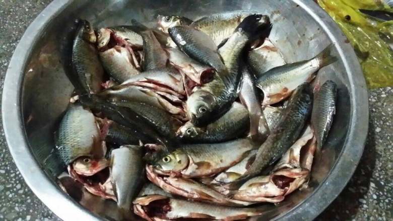 贵州酸汤鱼(红酸汤),鱼洗净装盒,各种料洗净待用