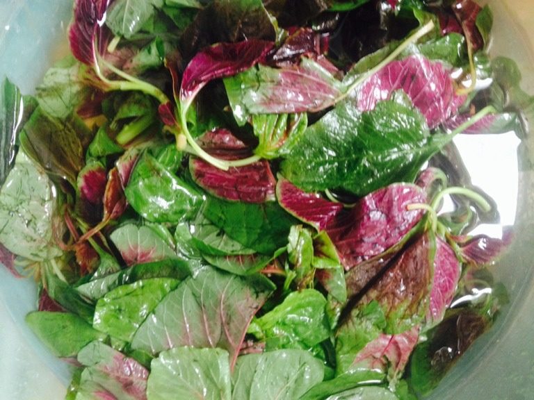 速成丝瓜汤,把<a style='color:red;display:inline-block;' href='/shicai/ 59'>番茄</a>洗净切小块，<a style='color:red;display:inline-block;' href='/shicai/ 57'>丝瓜</a>削皮洗净斜刀切块（尽量切大点）<a style='color:red;display:inline-block;' href='/shicai/ 151'>苋菜</a>去根洗净