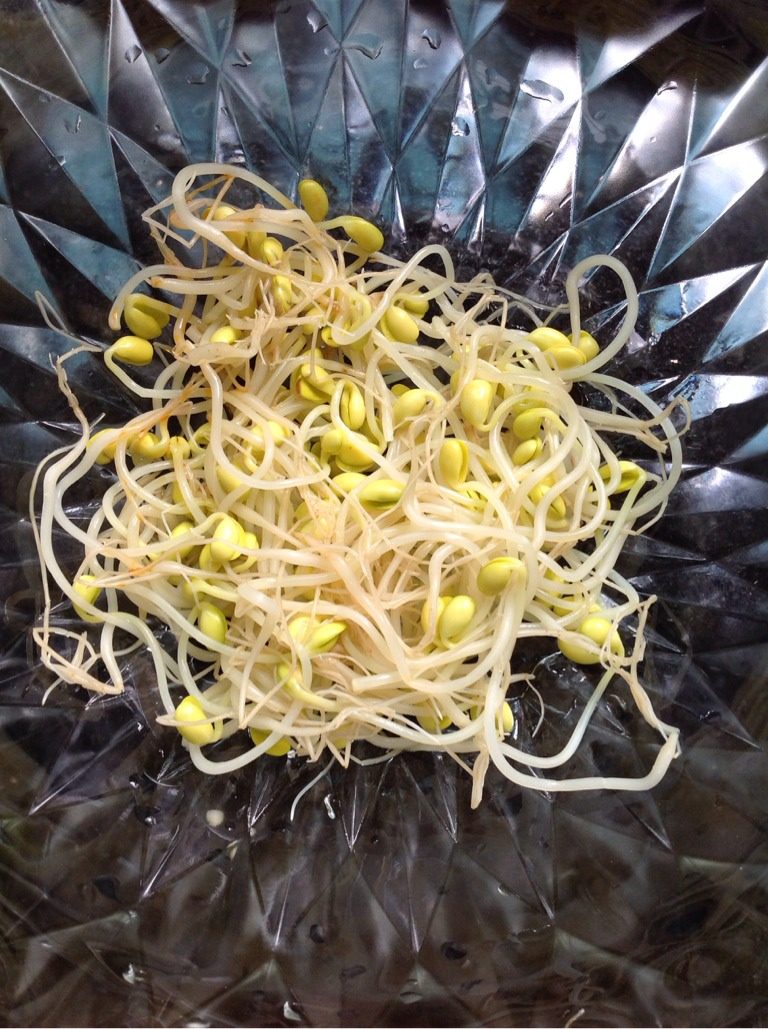 麻辣藤椒鱼,将焯熟的豆芽铺在盆底,备用