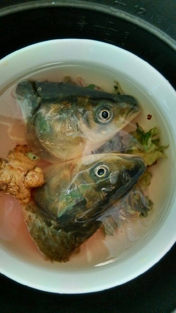 鱼腥草炖鱼头
