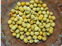 苦瓜黄豆排骨汤,<a style='color:red;display:inline-block;' href='/shicai/ 3603'>黄豆</a>洗净后预先浸泡2小时