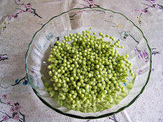 小炒豌豆,豌豆粒用淡盐水浸泡15分钟