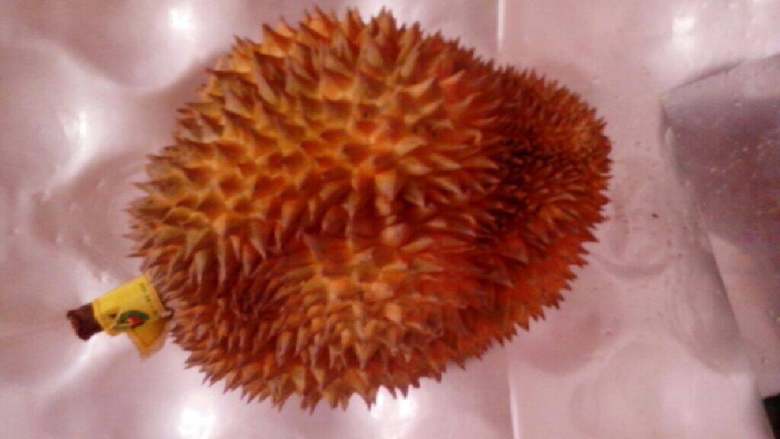 玉米莲藕排骨煲榴莲核,买一个小榴莲,