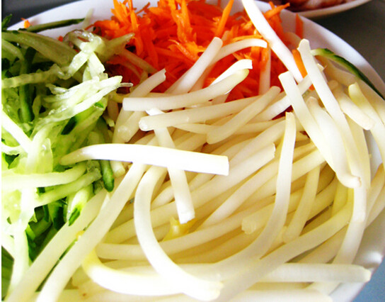 越南米纸卷煎鸡肉杂蔬,黄瓜擦丝，胡萝卜去皮擦丝，<a style='color:red;display:inline-block;' href='/shicai/ 120'>豆芽</a>掐掉两端