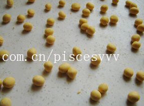 酒酿圆子,将面团揉搓成长条后,切成小分,用手搓成圆形即可糯米南瓜圆子