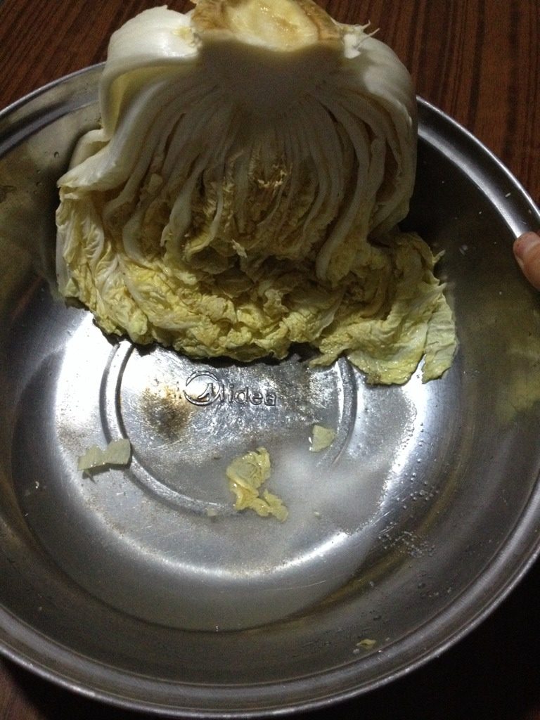 辣白菜,如图抹好后,我是放了一夜,水分出来了,白菜变软