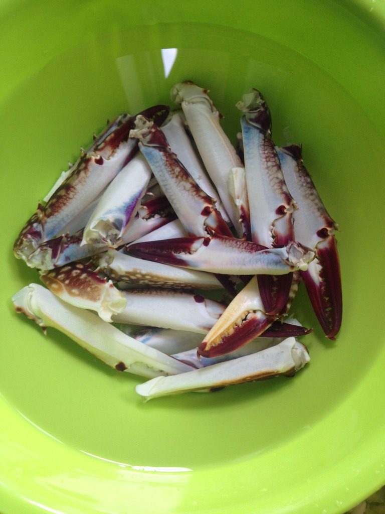海鲜粥,<a style='color:red;display:inline-block;' href='/shicai/ 230'>香菇</a>泡发后切成丝，和干贝、大米一起入锅煮。