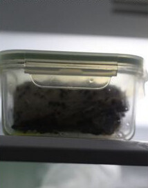 盐水鸭,将抹完盐的鸭腿放到容器中,加盖冰箱冷藏24小时以上