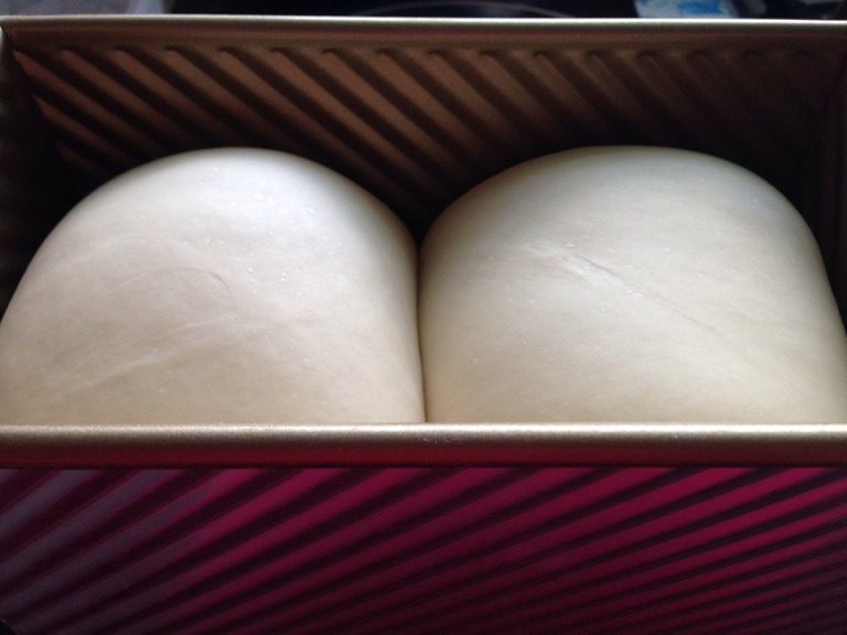 无油酸奶吐司,二发将模具关进烤箱，旁边放置一杯热开水，制造38摄氏度，85%湿度的密闭环境。发酵70～80min。涨高至8分满。