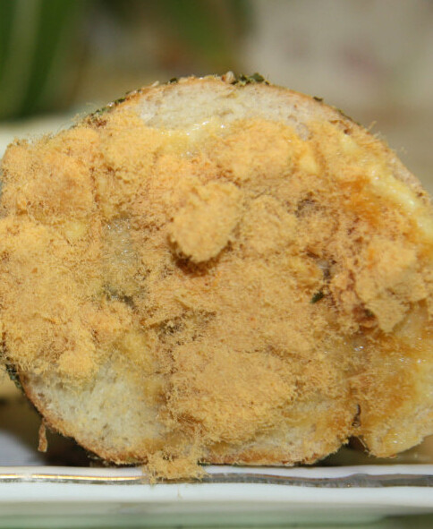海苔肉松面包卷 