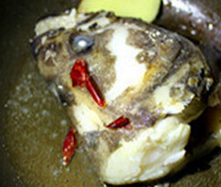 鸦片鱼头汤,生<a style='color:red;display:inline-block;' href='/shicai/ 37'>姜</a>油内爆香，放入<a style='color:red;display:inline-block;' href='/shicai/ 86474'>干辣椒</a>，鸦片鱼在锅内煎到半成熟