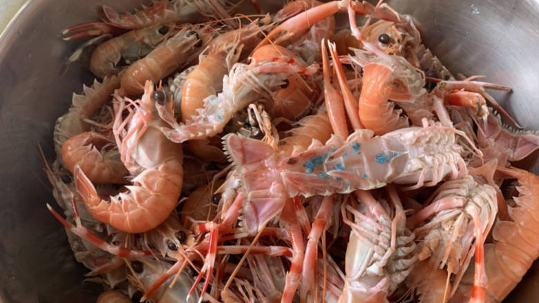 酱烧海龙虾,籽是蓝绿色,日料里常有鳌虾,国产,新西兰,挪威,虾钳区别大点。国产就比较细。红,粉红间断。