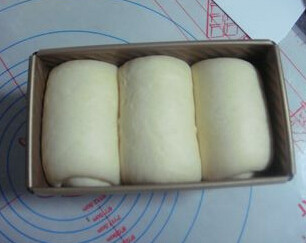 椰蓉吐司,将收口处捏紧,收口向下排入烤模,加盖保鲜膜入烤箱进行最后发酵至九分满