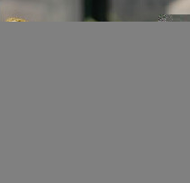 和风提拉米苏,入冰箱冷藏几个小时,吃时撒上抹茶粉即可