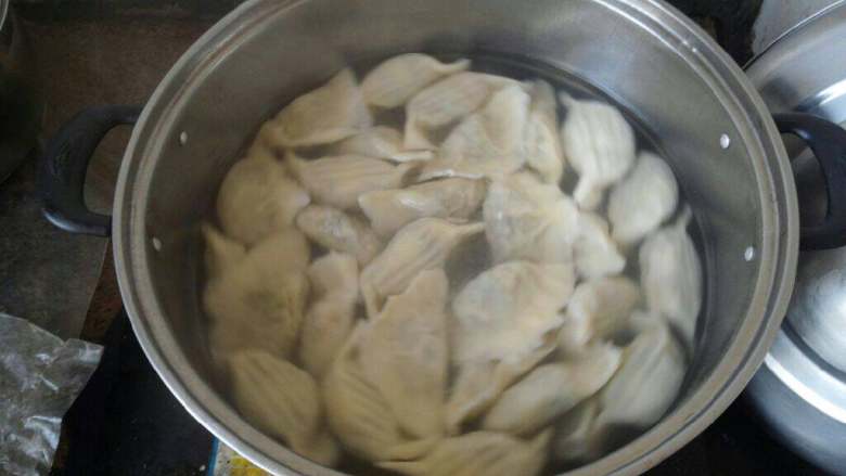 韭菜肉馅饺子,祸水烧开,饺子入锅,开锅后添凉水,重复3到4次即可。
