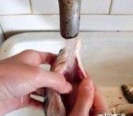 鱼的清理,用流动的水将鱼腹和鱼身彻底的冲洗干净,就可以开始烹饪了