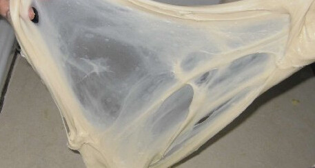 鲜奶油团圆包 ,淡奶油，牛奶，酵母，高粉，盐，糖依序放入搅拌桶，低速搅打至出筋。