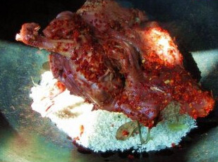 爆炒熏兔,米上面放个架子,把肉架至上面熏制冒出焦黄色的烟时舀些红酒往旁边的缝里倒进去,然后关火焖1分钟,接开盖子即可