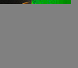 雀巢,放入<a style='color:red;display:inline-block;' href='/shicai/ 47006'>烧烤酱</a>、盐、<a style='color:red;display:inline-block;' href='/shicai/ 10588'>糖</a>、醋，翻炒均匀，出锅盛盘，摆造型