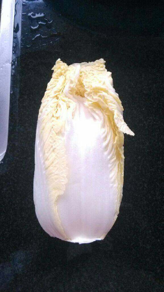 糯米猪肉白菜卷,高山<a style='color:red;display:inline-block;' href='/shicai/ 140'>娃娃菜</a>剥成一片一片用开水汤一遍