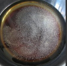 沙茶牛肉焖面,锅里放水200ml，放入<a style='color:red;display:inline-block;' href='/shicai/ 692'>酱油</a>、<a style='color:red;display:inline-block;' href='/shicai/ 720'>胡椒粉</a>、白糖、<a style='color:red;display:inline-block;' href='/shicai/ 787'>沙茶酱</a>、<a style='color:red;display:inline-block;' href='/shicai/ 39161'>牛排酱</a>，全部搅拌均匀备用