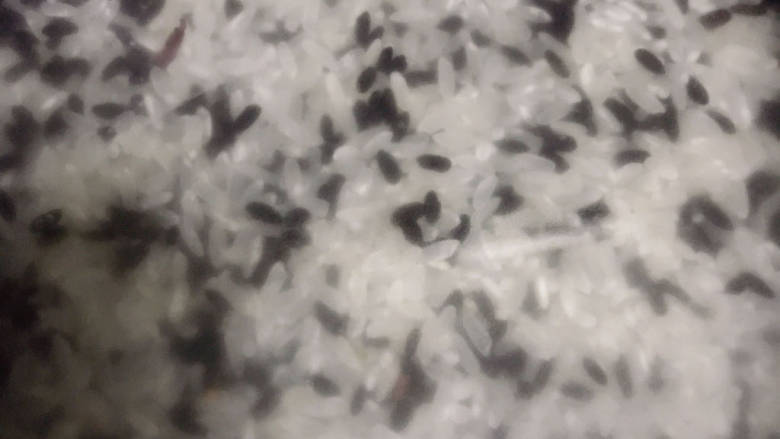 #闹元宵#胡萝卜滑鸡饭（电饭锅版）,淘洗干净